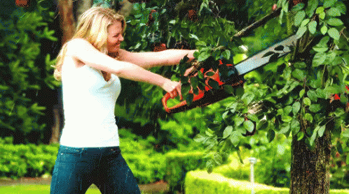 ExpertGardenerGIF1.gif