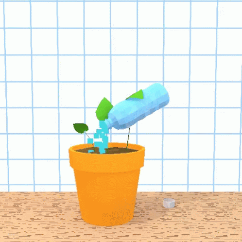 PlantHouseplantGIF1.gif