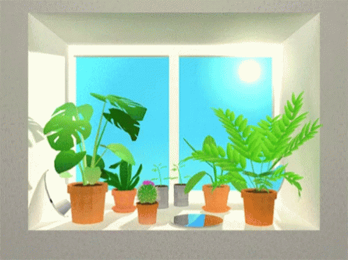WindowPlantsGIF6.gif