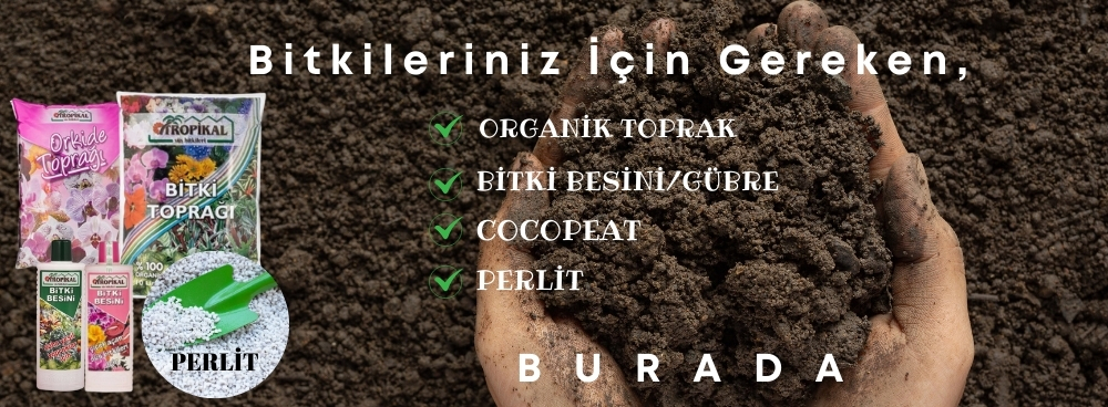TNCGARDEN - 2