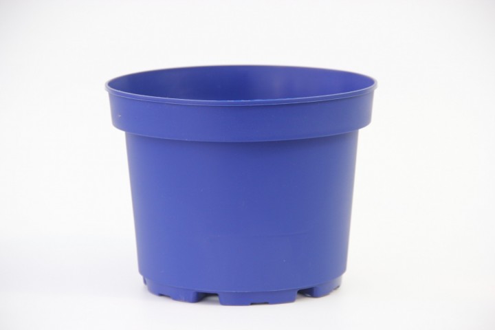 5 Renk Saksı Kırmızı - Mavi - Pembe - Sarı ve Yeşil 10 Adet 5 Renk Saksı Kırmızı - Mavi - Pembe - Sarı ve Yeşil 10 Adet