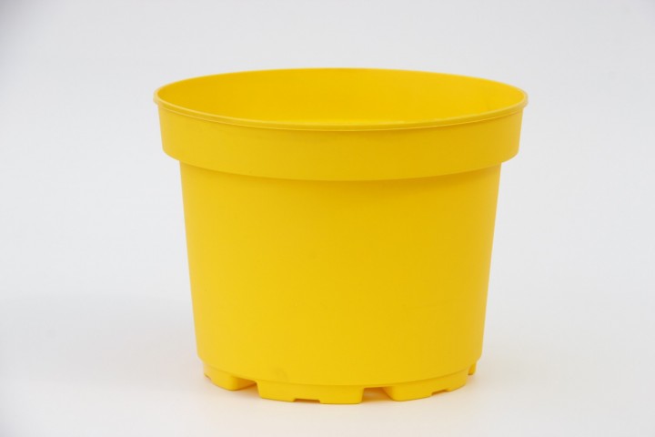 5 Renk Saksı Kırmızı - Mavi - Pembe - Sarı ve Yeşil 10 Adet 5 Renk Saksı Kırmızı - Mavi - Pembe - Sarı ve Yeşil 10 Adet