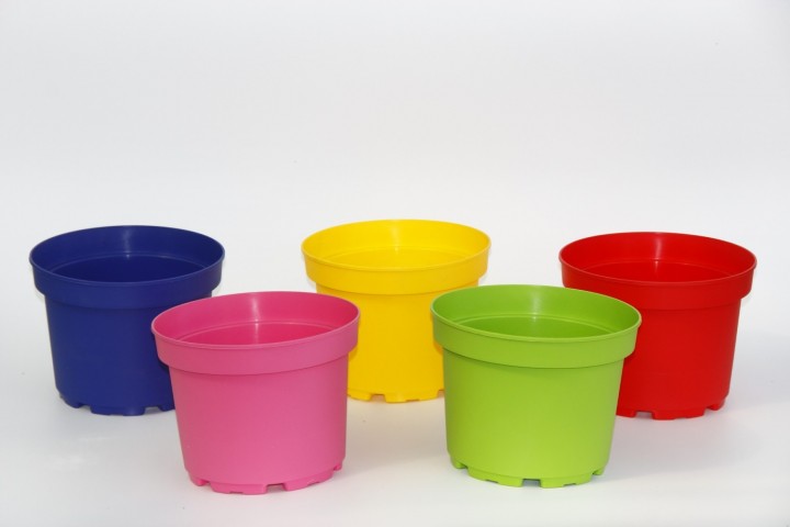 5 Renk Saksı Kırmızı - Mavi - Pembe - Sarı ve Yeşil 5 Adet