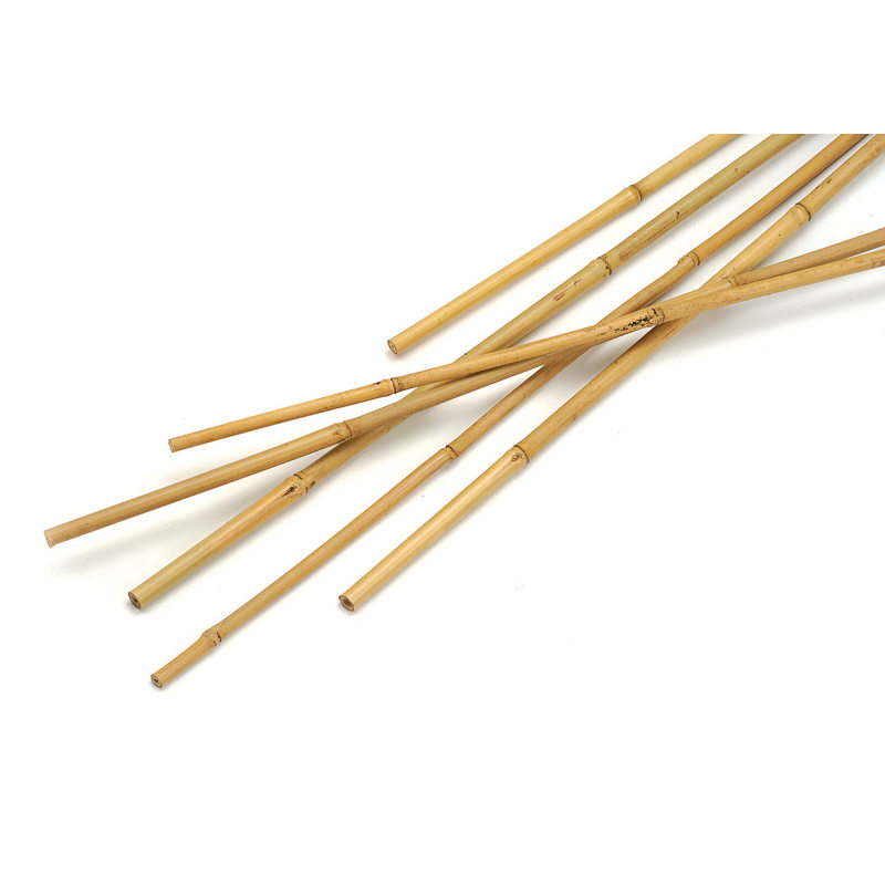 Bitki Destek Çubuğu Bambu 75 CM 10 Adet Bitki Destek Çubuğu Bambu 75 CM 10 Adet