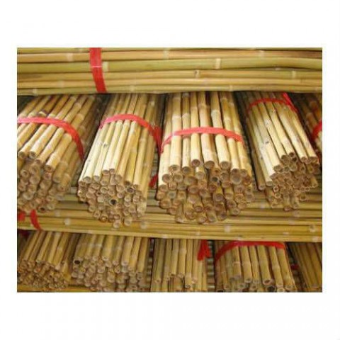 Bitki Destek Çubuğu Bambu 75 CM 10 Adet