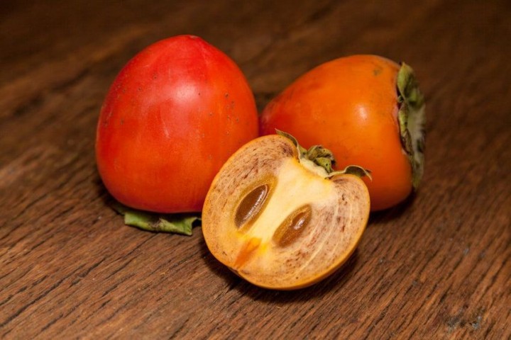 Çikolatalı Trabzon Hurması (Diospyros digyna) – "Black Sapote" 3 Adet