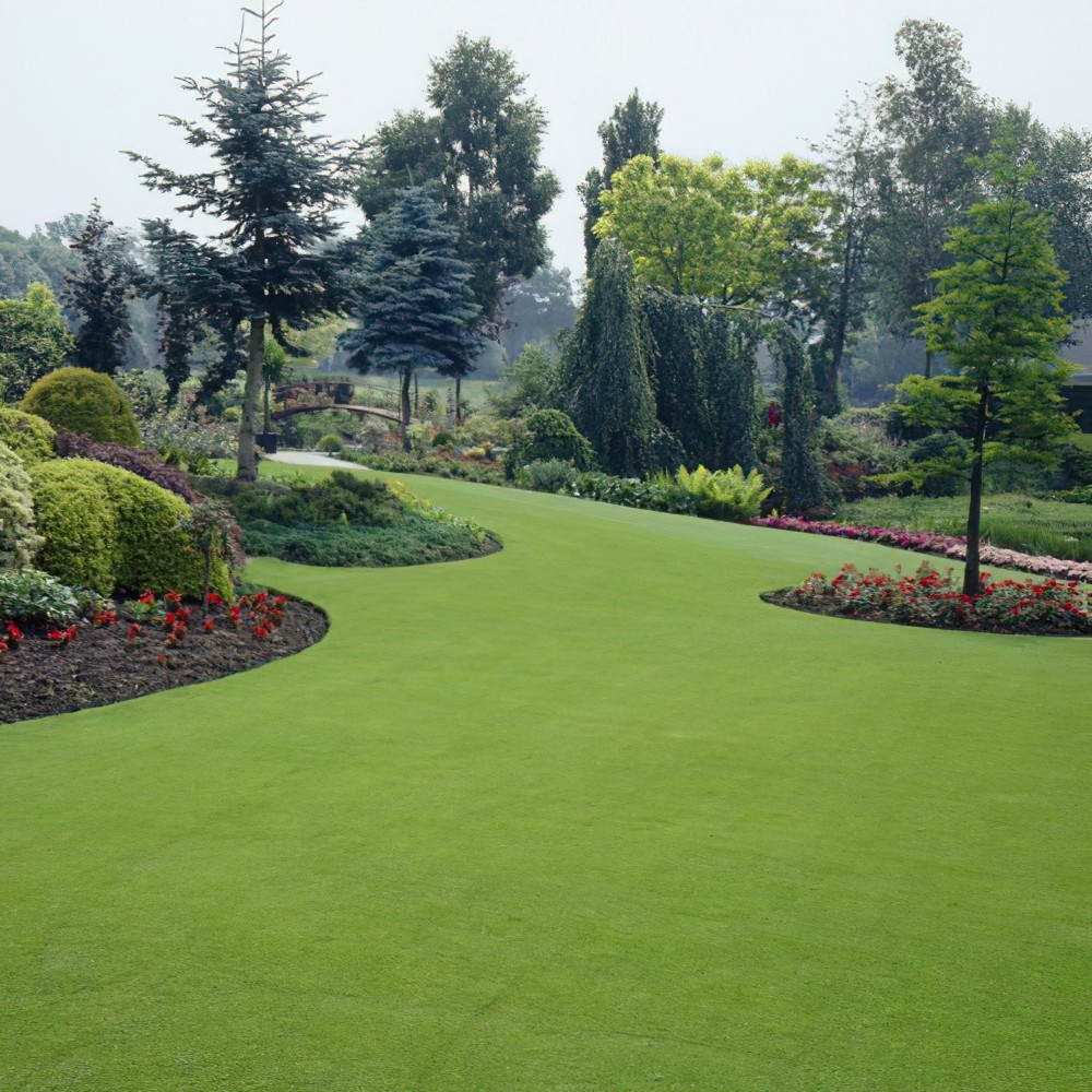 Çim Gübresi 15-5-15  Sportsmaster 100 Gr