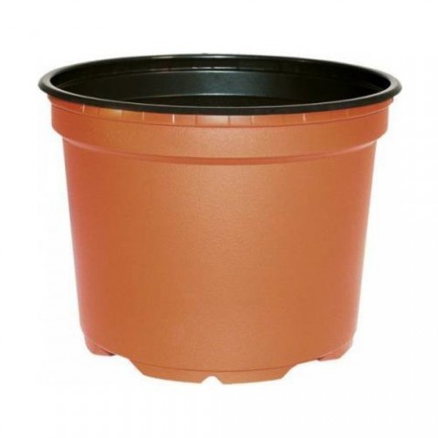 Defne Yetiştirme Seti