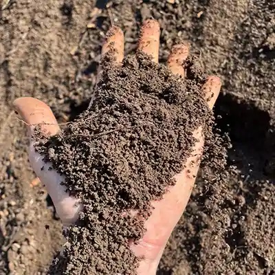 Doğal Elenmiş Bahçe Toprağı 5 Litre
