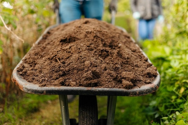 Doğal Elenmiş Bahçe Toprağı 5 Litre