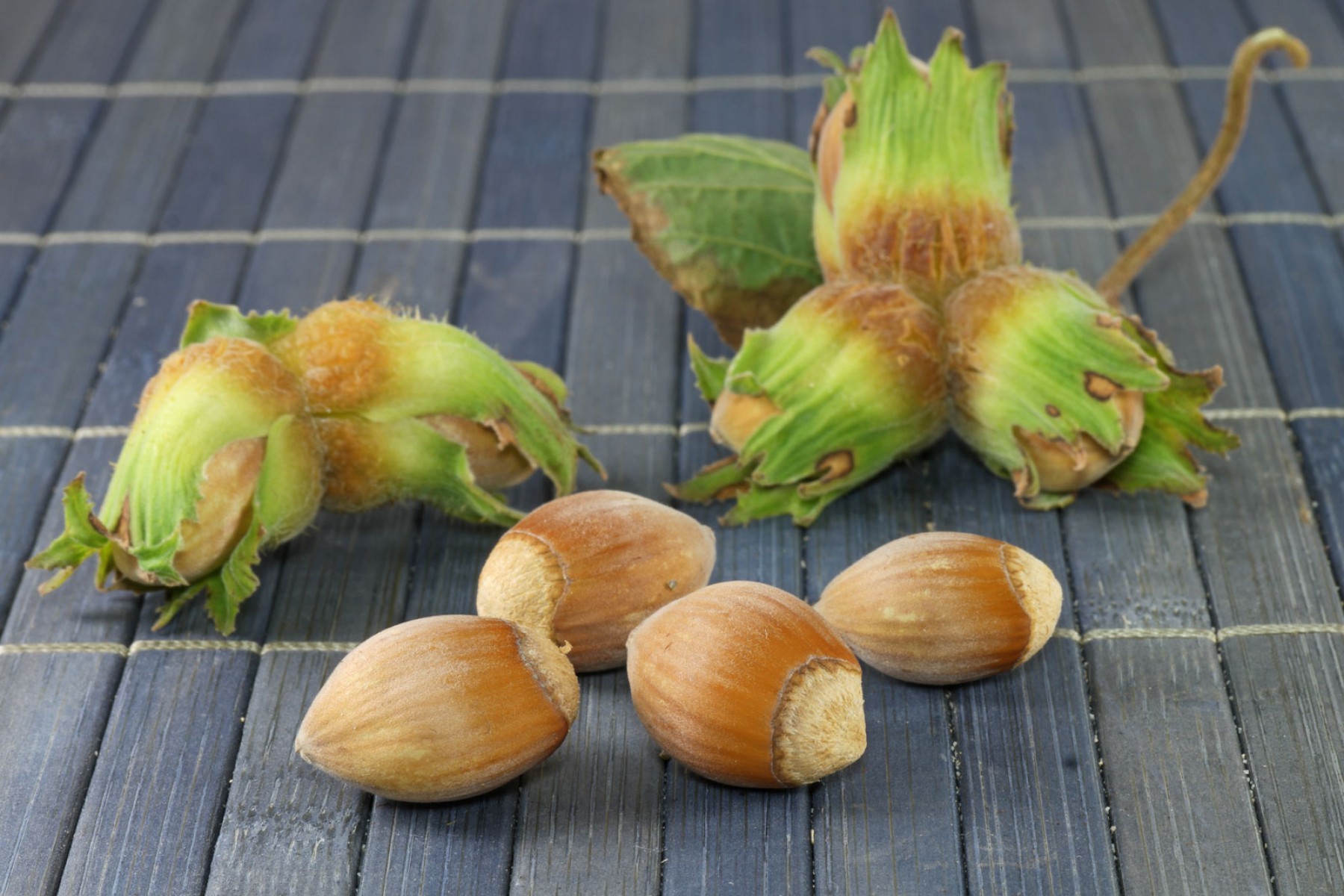 Fındık (Çakıldak) Fidanı 3 Yaş 2 Adet Tüplü Fındık (Çakıldak) Fidanı 3 Yaş 2 Adet Tüplü