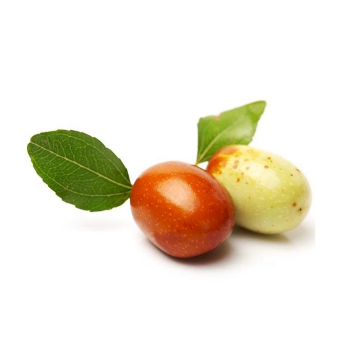 Hünnap Fidanı ( Ufak Taneli) 3 Yaş Tüplü ve Aşılı Hünnap Fidanı ( Ufak Taneli) 3 Yaş Tüplü ve Aşılı