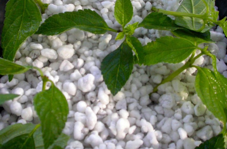 Organik Bitki Perliti 10 Litre