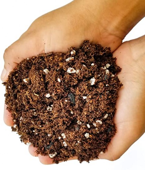 Organik Bitki Toprağı 5 Litre
