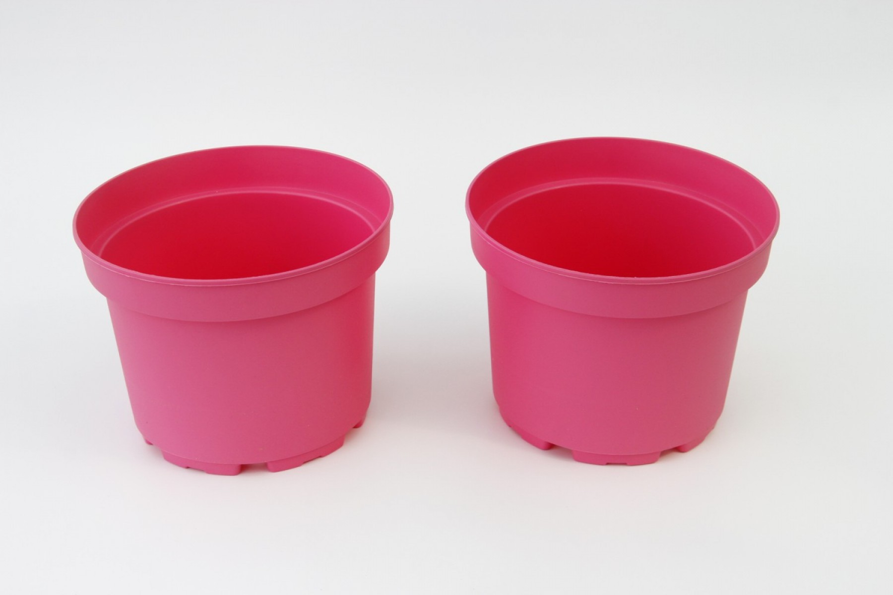 Pembe Saksı 20 Adet