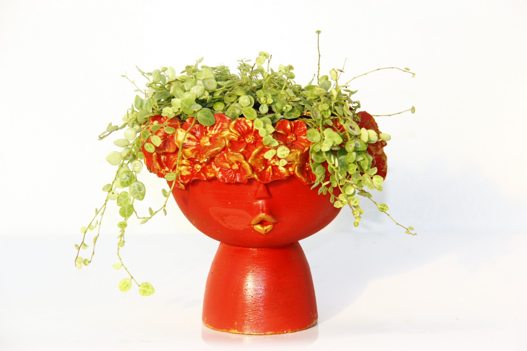 Pilea Glauca Dostluk Çiçeği Dekoratif Kırmızı Saksıda