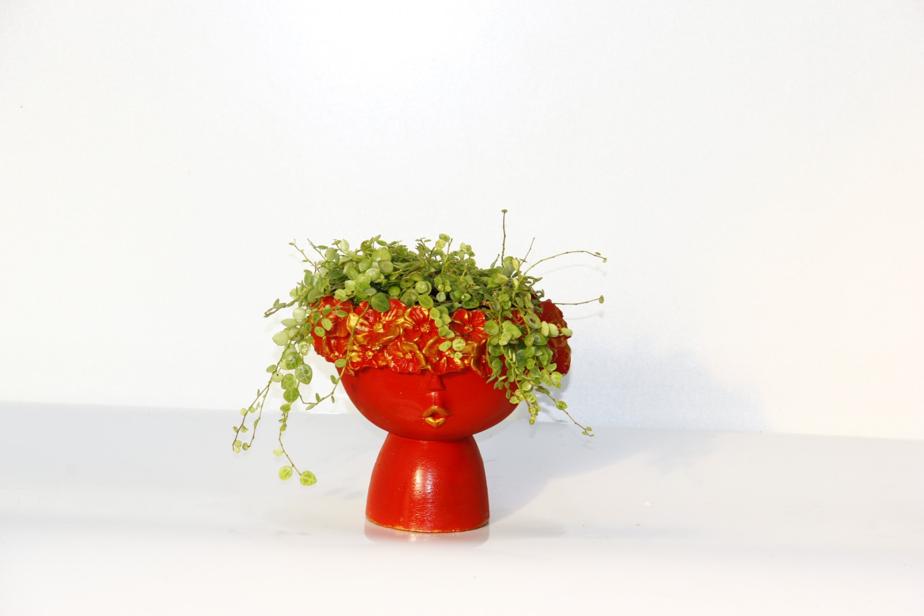 Pilea Glauca Dostluk Çiçeği Dekoratif Kırmızı Saksıda