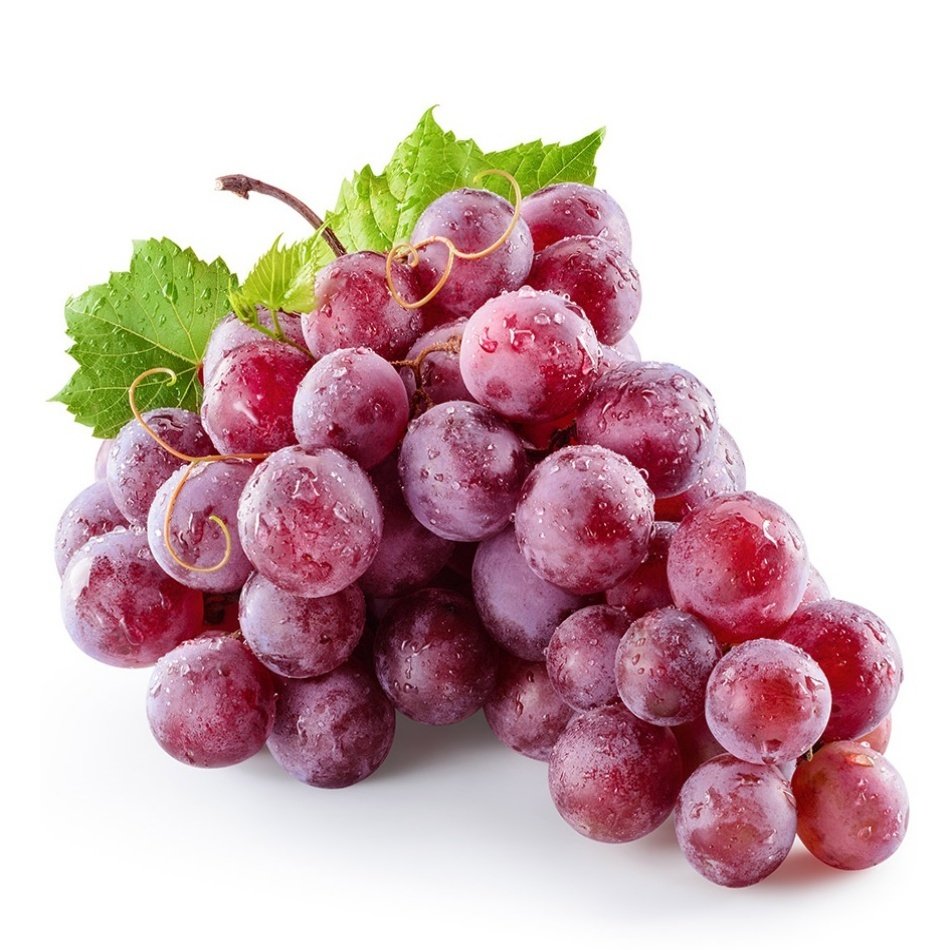 Red Globe Üzüm Fidanı 2 Yaş Tüplü Red Globe Üzüm Fidanı 2 Yaş Tüplü