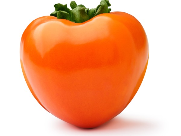 Rojo Brillante Trabzon Hurması (Cennet Meyvesi) 3 Yaş Tüplü ve Aşılı Rojo Brillante Trabzon Hurması (Cennet Meyvesi) 3 Yaş Tüplü ve Aşılı