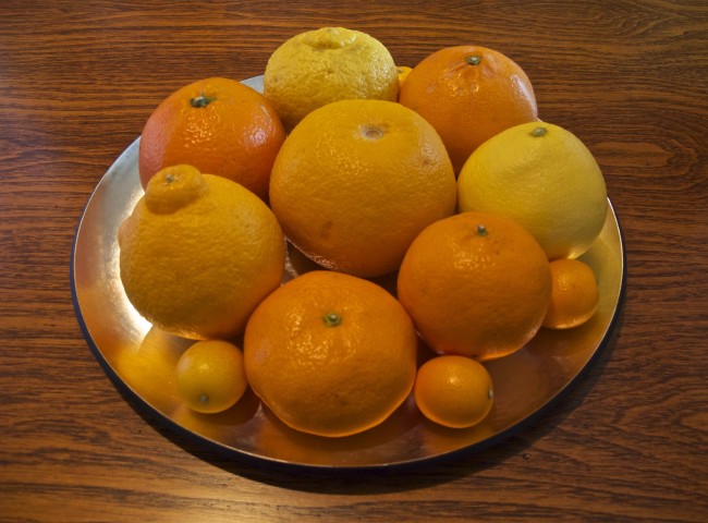 3’ lü Narenciye Seti – Limon-Portakal-Mandalina