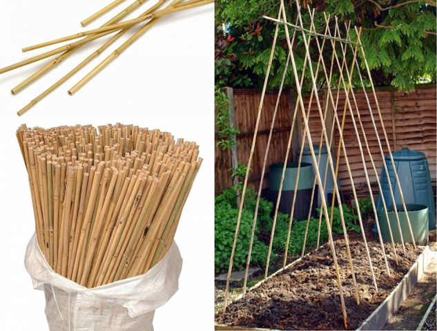 Bitki Destek Çubuğu Bambu 75 CM 20 Adet