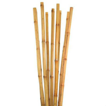 Bitki Destek Çubuğu Bambu 75 CM 20 Adet