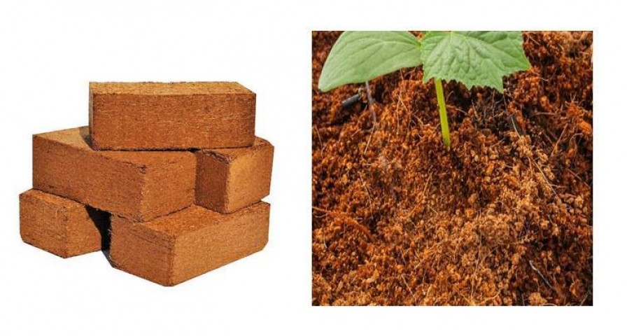 Cocopeat Sıkıştırılmış Hindistan Cevizi Torfu 130 Lt (Kokopit) 2 Adet