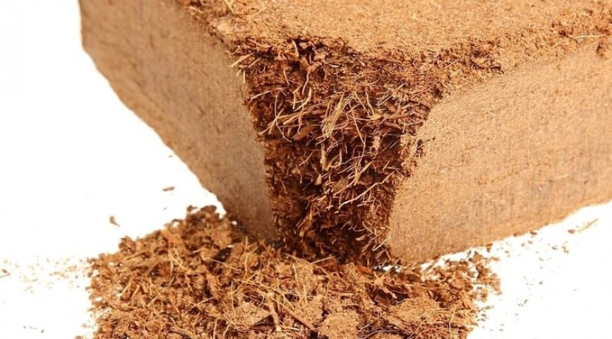 Cocopeat Sıkıştırılmış Hindistan Cevizi Torfu 130 Lt (Kokopit) 2 Adet