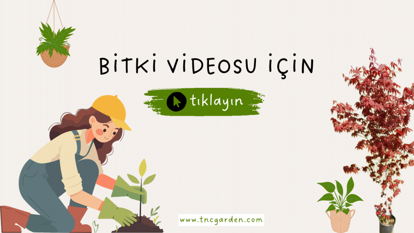 Doğal Elenmiş Bahçe Toprağı 5 Litre