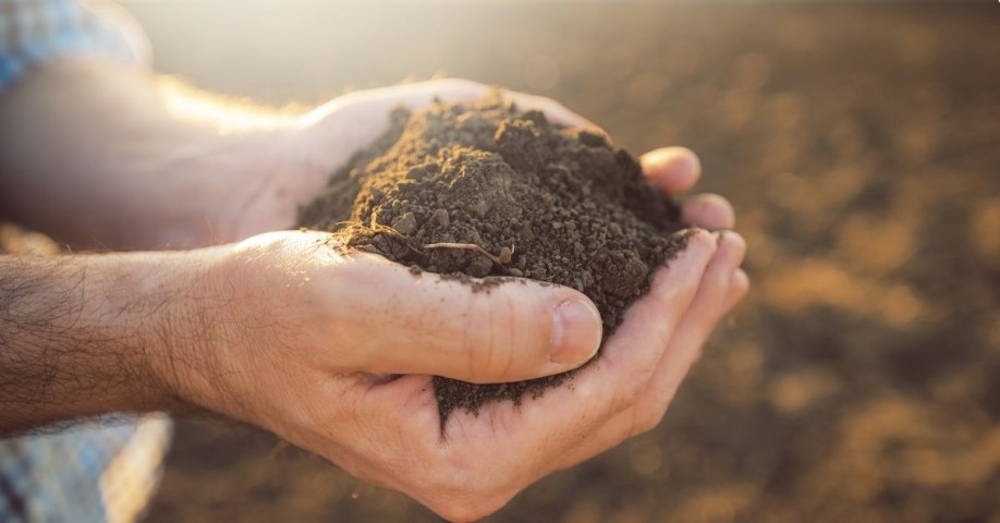 Doğal Elenmiş Bahçe Toprağı 5 Litre