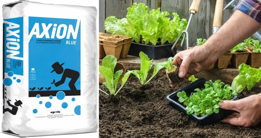 Gübre Axıon Blue 25000 Gr