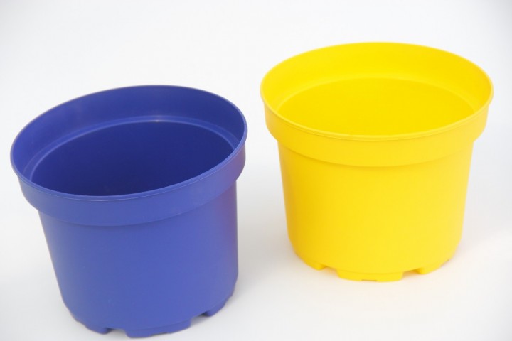 Lacivert ve Sarı Saksı Seti 2 Renk 10 Adet