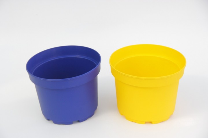 Lacivert ve Sarı Saksı Seti 2 Renk 20 Adet