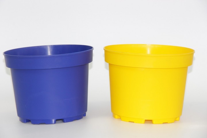 Lacivert ve Sarı Saksı Seti 2 Renk 6 Adet