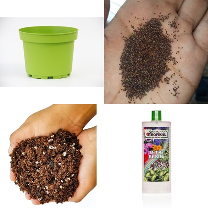 Maydanoz Saksıda Yetiştirme Seti – 10 gr Tohum, 3 Dekoratif Saksı, Toprak Karışımı & Bitki Besini