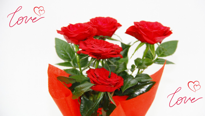 MİNİ GÜL KIRMIZI RENK - Sevgililer Günü ve Özel Gün Hediyesi