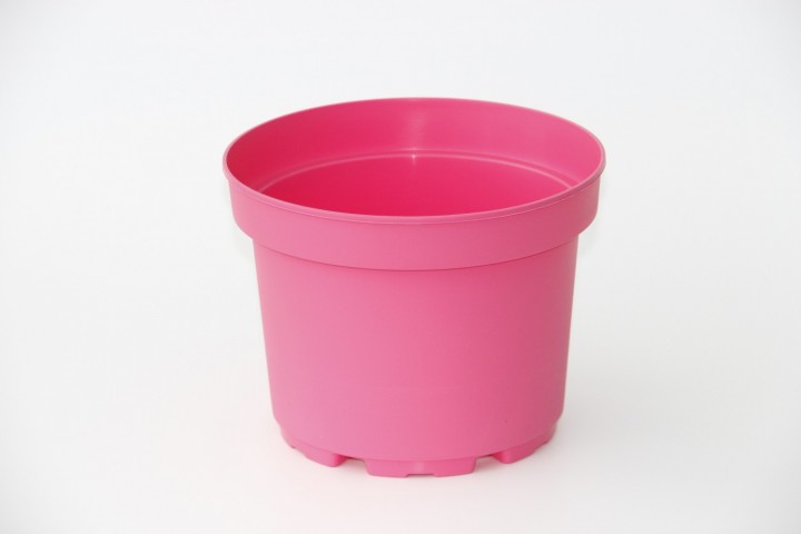 Pembe Saksı 20 Adet