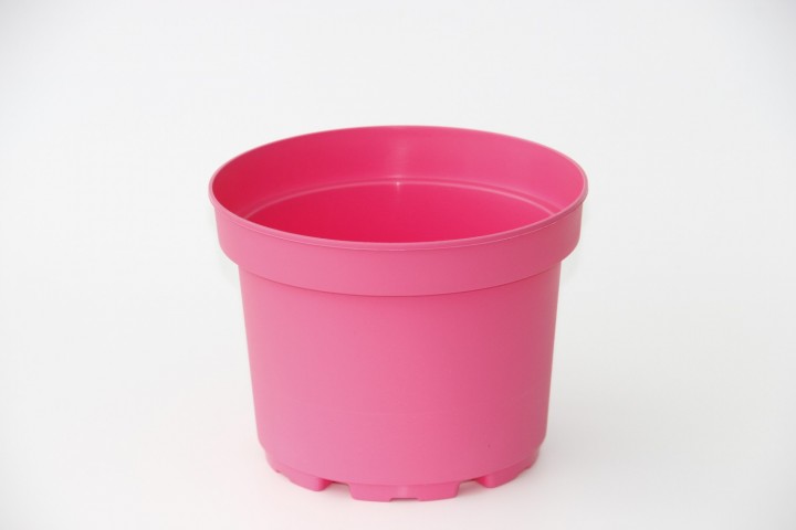 Pembe Saksı 20 Adet