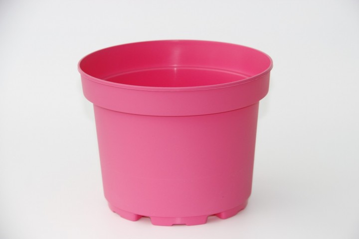 Pembe Saksı 20 Adet