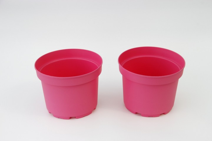 Pembe Saksı 20 Adet