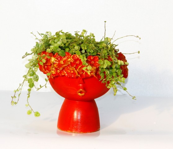 Pilea Glauca Dostluk Çiçeği Dekoratif Kırmızı Saksıda
