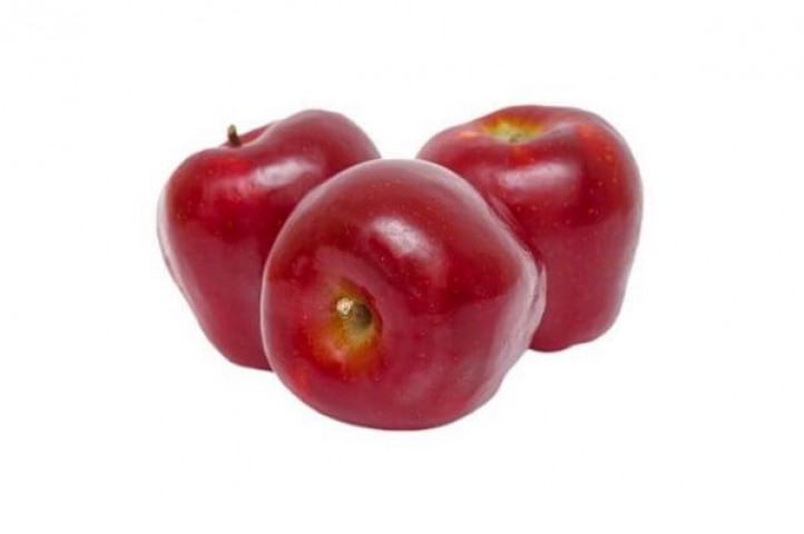 Red Chief Elma Fidanı 3 Yaş Tüplü ve Aşılı