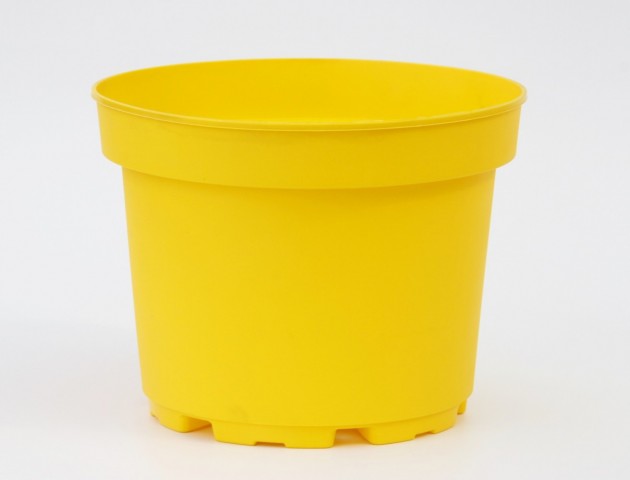 Sarı Saksı 3 LT