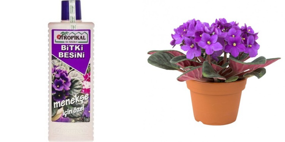 Tropikal Bitki Besini Menekşe 1000 ML