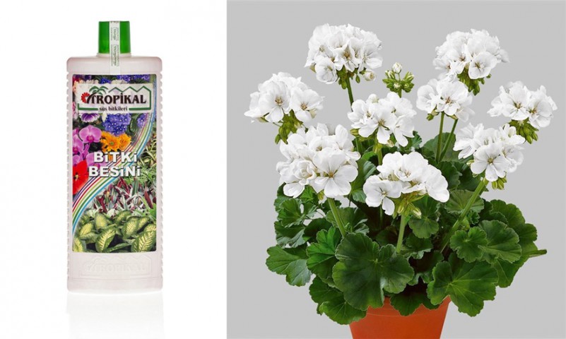 Tropikal Besin Bitkis 3 Adet - 1000 ML