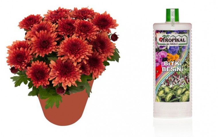 Tropikal Bitki Besini- 1000 ML