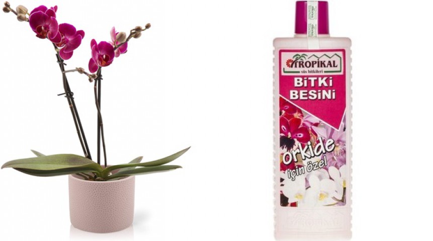 Tropikal Orkide Bitki Besini 6 Adet - 1000 ML