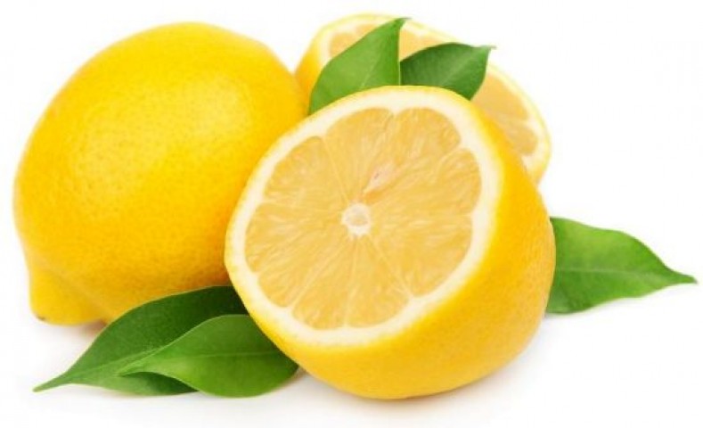 Yediveren Limon Fidanı 2 Adet 3 Yaş Tüplü ve Aşılı