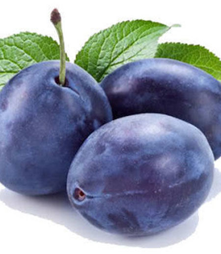 Stanley Birton Erik Fidanı - Tüplü ve Aşılı 3 Adet Stanley Birton Erik Fidanı - Tüplü ve Aşılı 3 Adet