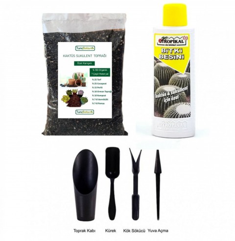 Sukulent Kaktüs Seti 3 Ürünlü Bakım Dikim Seti Sukulent Kaktüs Seti 3 Ürünlü Bakım Dikim Seti